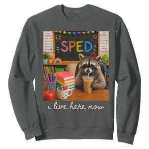 Funny SPED Raccoon Teacher Sweatshirt I Live Here Now TS12 Dark Heather Print Your Wear