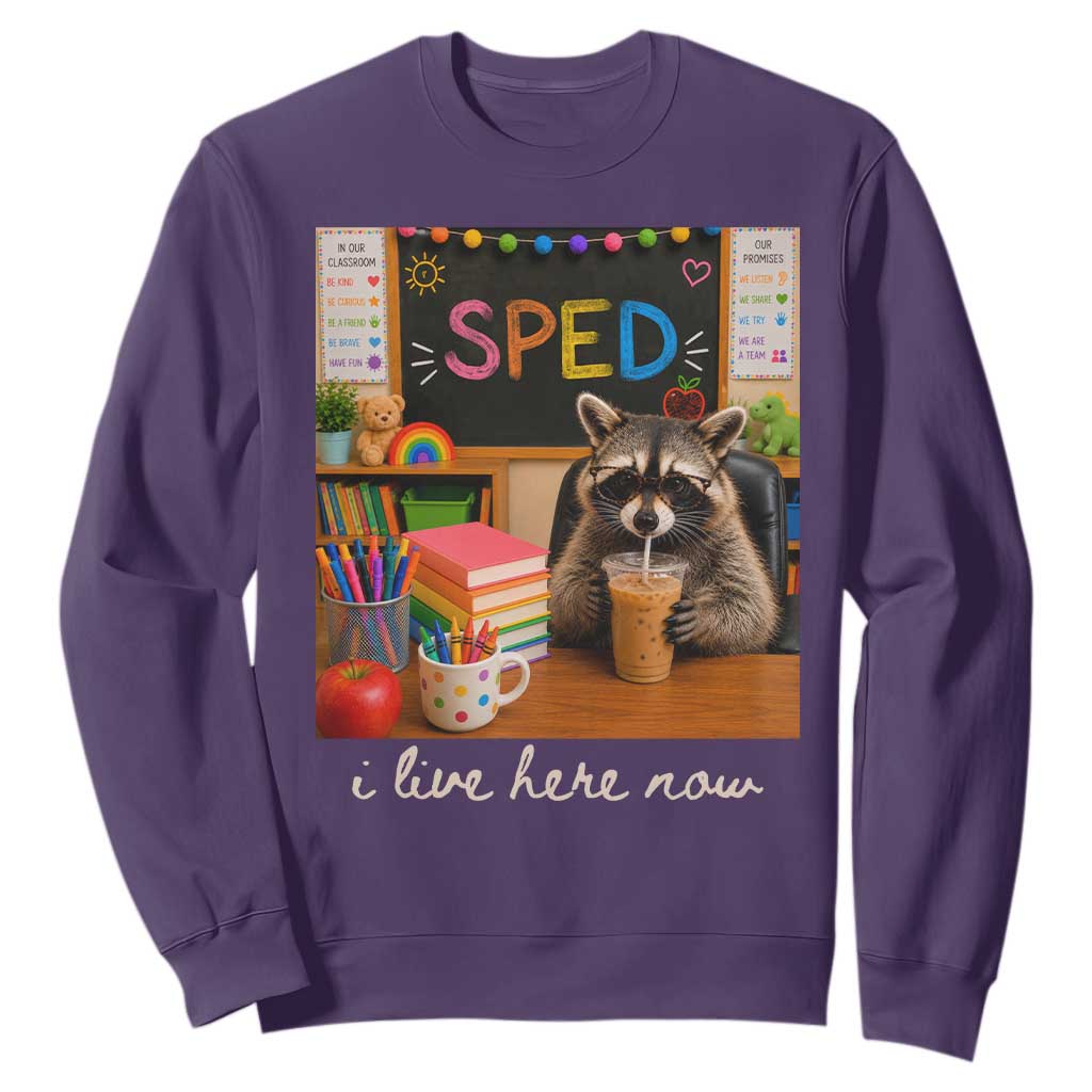 Funny SPED Raccoon Teacher Sweatshirt I Live Here Now TS12 Purple Print Your Wear