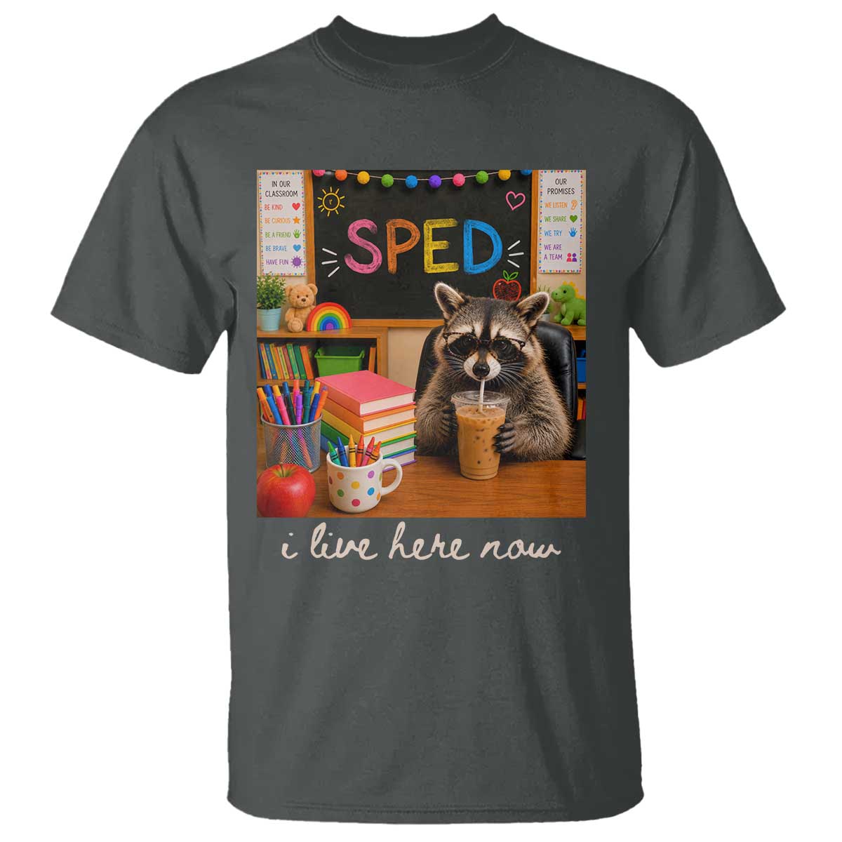 Funny SPED Raccoon Teacher T Shirt I Live Here Now TS12 Dark Heather Print Your Wear