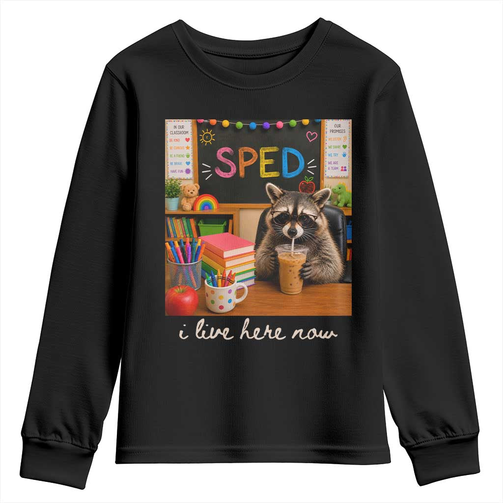 Funny SPED Raccoon Teacher Youth Sweatshirt I Live Here Now TS12 Black Print Your Wear
