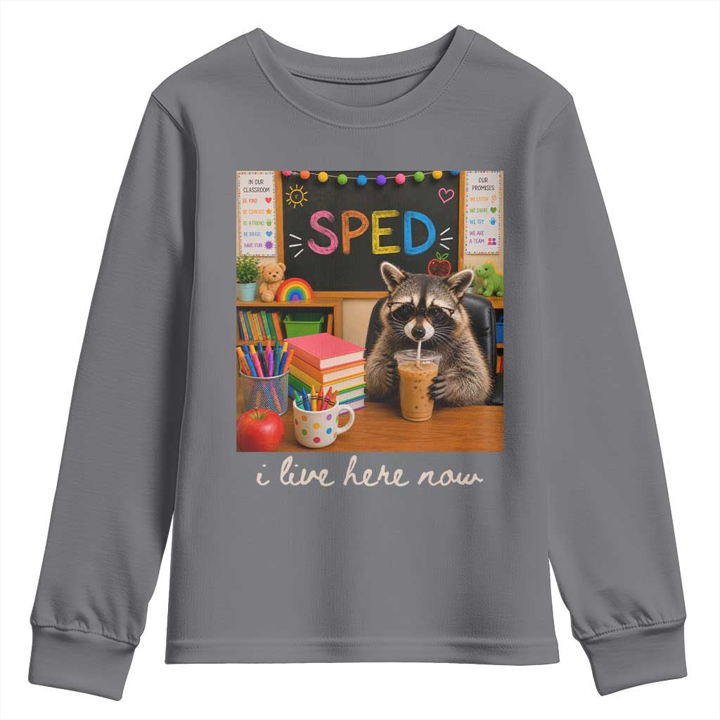 Funny SPED Raccoon Teacher Youth Sweatshirt I Live Here Now TS12 Charcoal Print Your Wear
