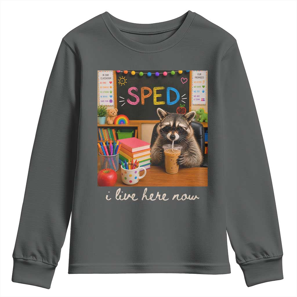 Funny SPED Raccoon Teacher Youth Sweatshirt I Live Here Now TS12 Dark Heather Print Your Wear