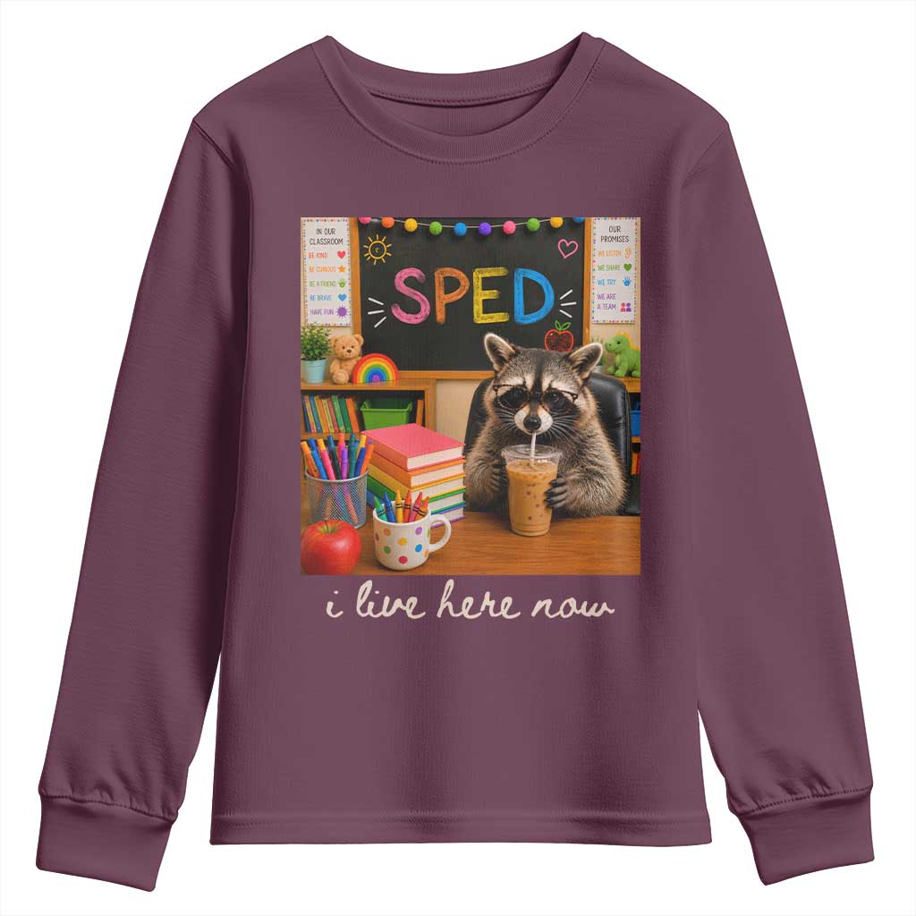 Funny SPED Raccoon Teacher Youth Sweatshirt I Live Here Now TS12 Maroon Print Your Wear