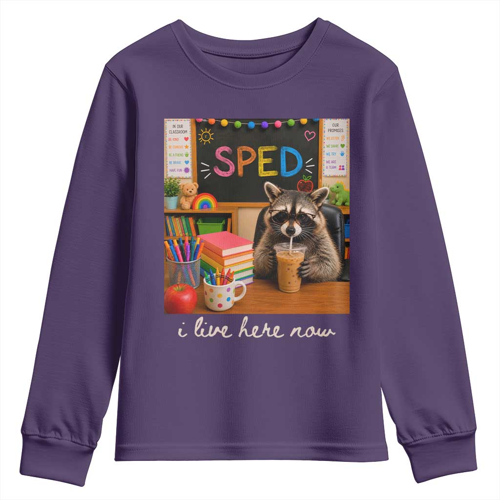 Funny SPED Raccoon Teacher Youth Sweatshirt I Live Here Now TS12 Purple Print Your Wear