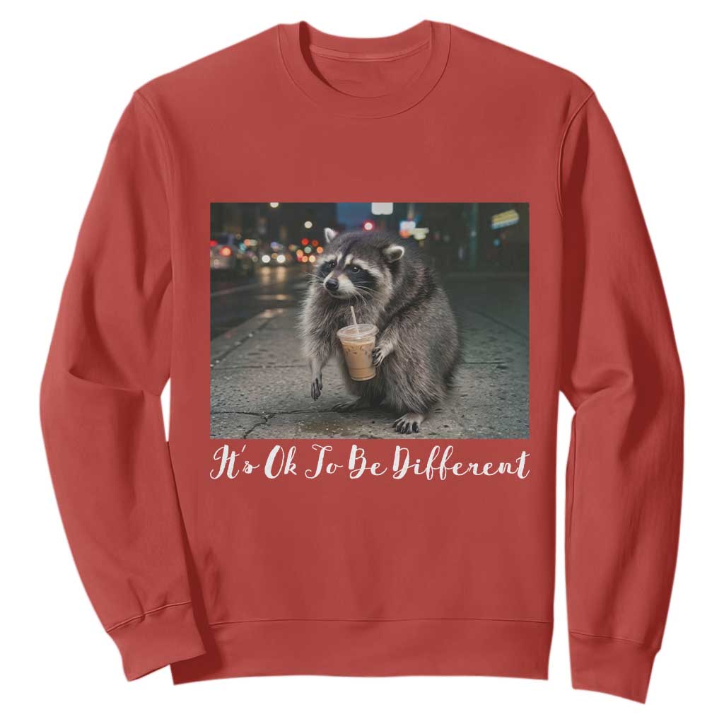 Its Ok To Be Different Jimothy Raccoon Sweatshirt Funny Short Spine Wildlife TS12 Red Print Your Wear