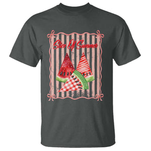 Striped Watermelon Beach Vibes Graphic T Shirt Slice Of Summer TS12 Dark Heather Print Your Wear