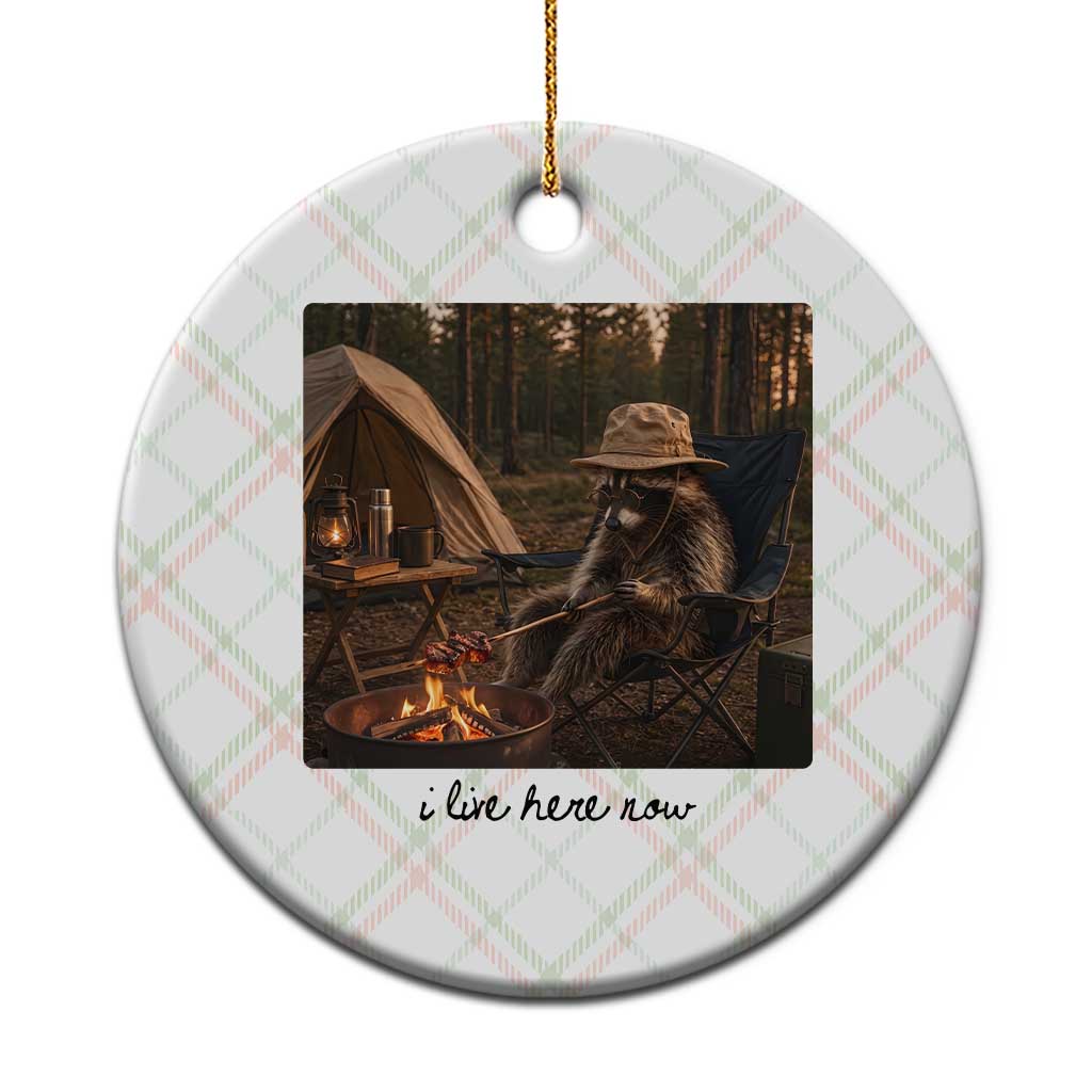 Funny Camping Raccoon Ceramic Ornament I Live Here Now Outdoor Lover TS12 1pc Christmas Plaid Print Your Wear