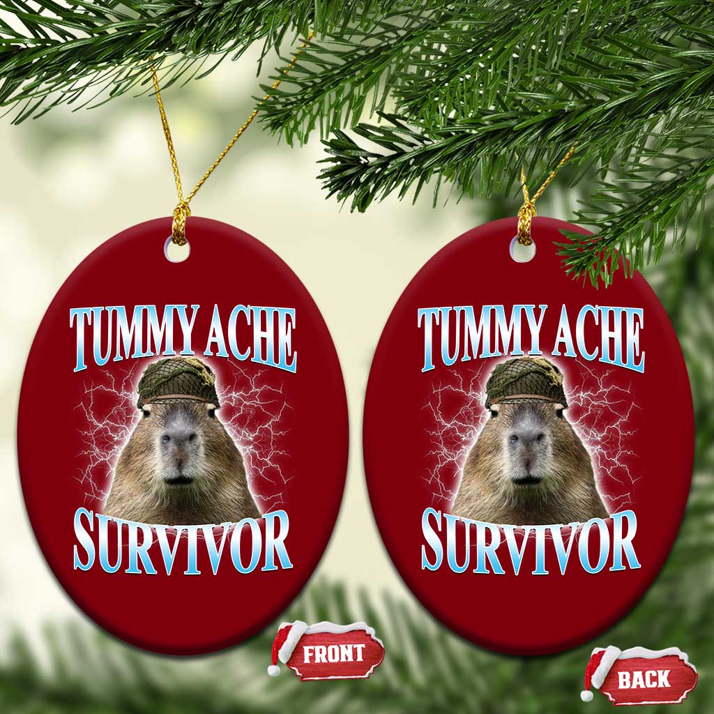 Tummy Ache Survivor Ceramic Ornament Funny Capybara Meme For Animal Lover TS12 Print Your Wear