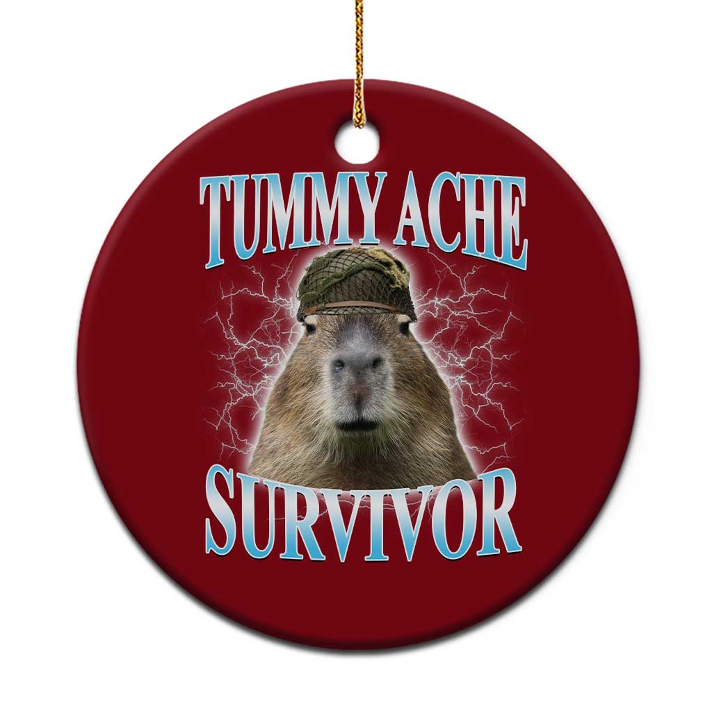 Tummy Ache Survivor Ceramic Ornament Funny Capybara Meme For Animal Lover TS12 1pc Red Print Your Wear