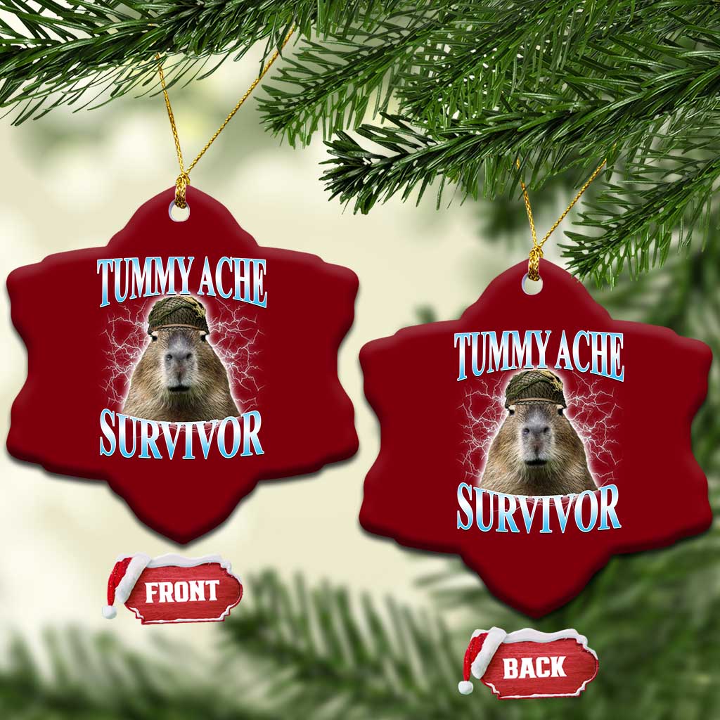 Tummy Ache Survivor Ceramic Ornament Funny Capybara Meme For Animal Lover TS12 Print Your Wear