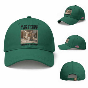 Funny Cat Humor Baseball Cap In My Defense I Was Left Unsupervised TS12 Baseball Cap Universal Fit Irish Green Print Your Wear