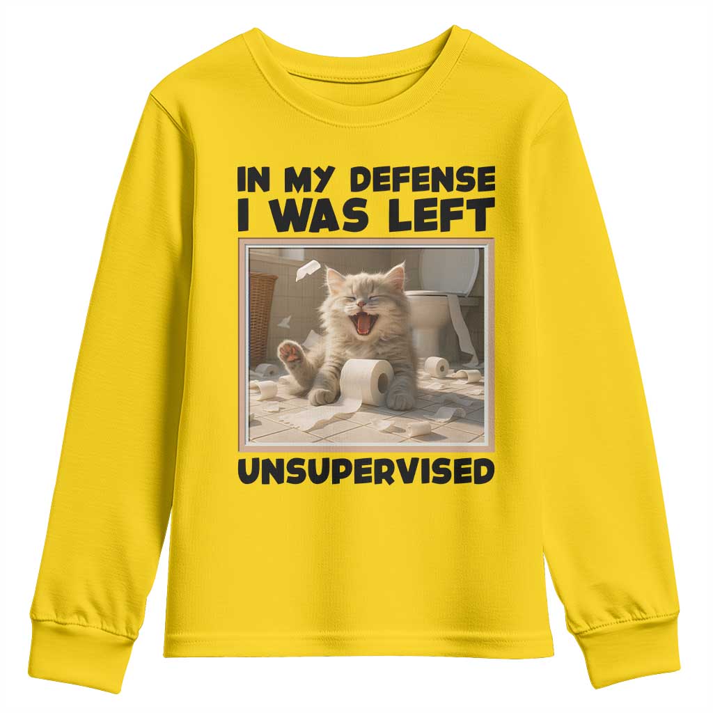 Funny Cat Humor Youth Sweatshirt In My Defense I Was Left Unsupervised TS12 Daisy Print Your Wear