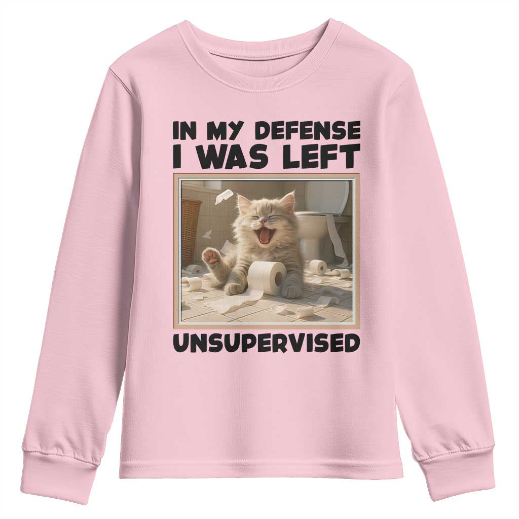 Funny Cat Humor Youth Sweatshirt In My Defense I Was Left Unsupervised TS12 Light Pink Print Your Wear
