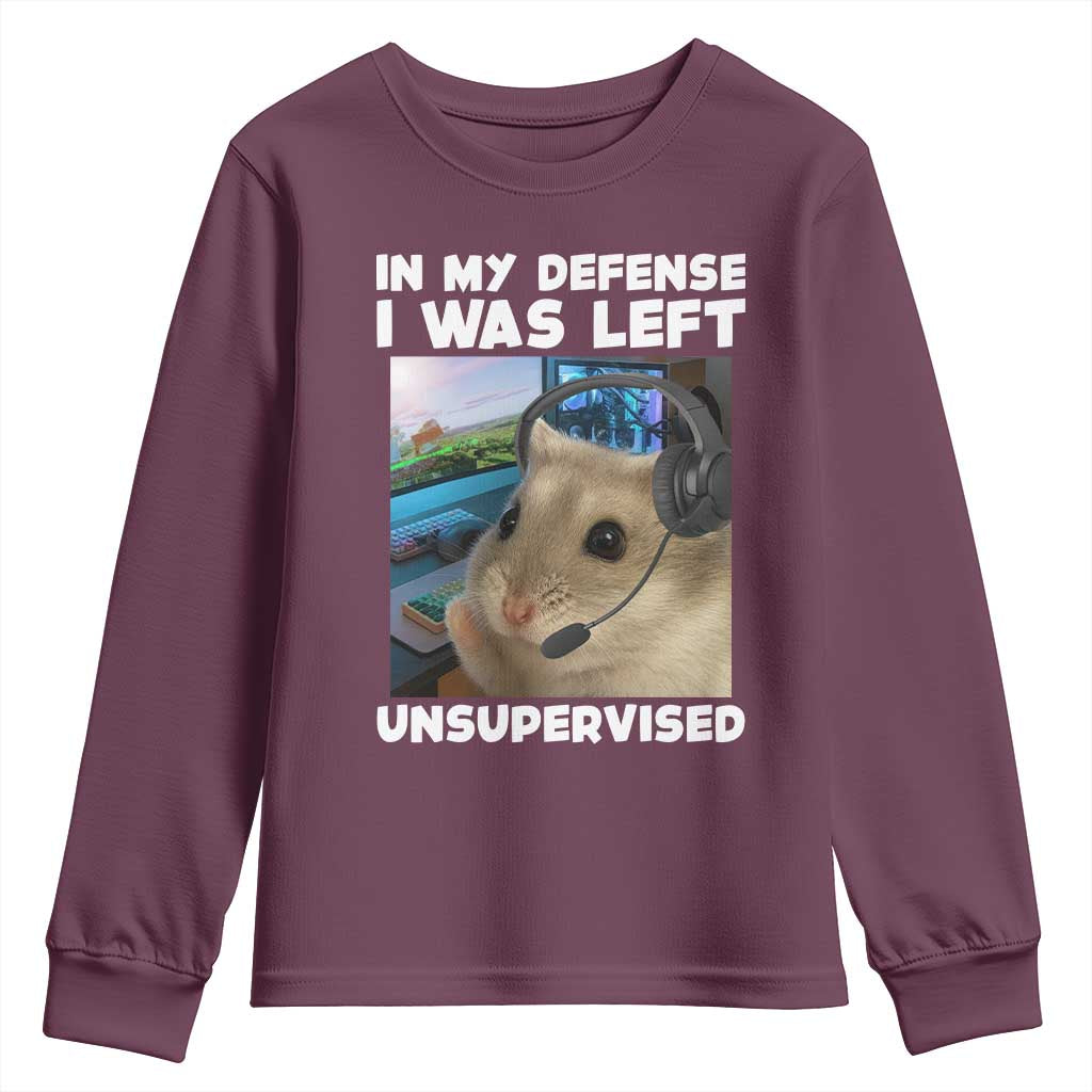 Funny Hamster Gamer Youth Sweatshirt In My Defense I Was Left Unsupervised TS12 Maroon Print Your Wear