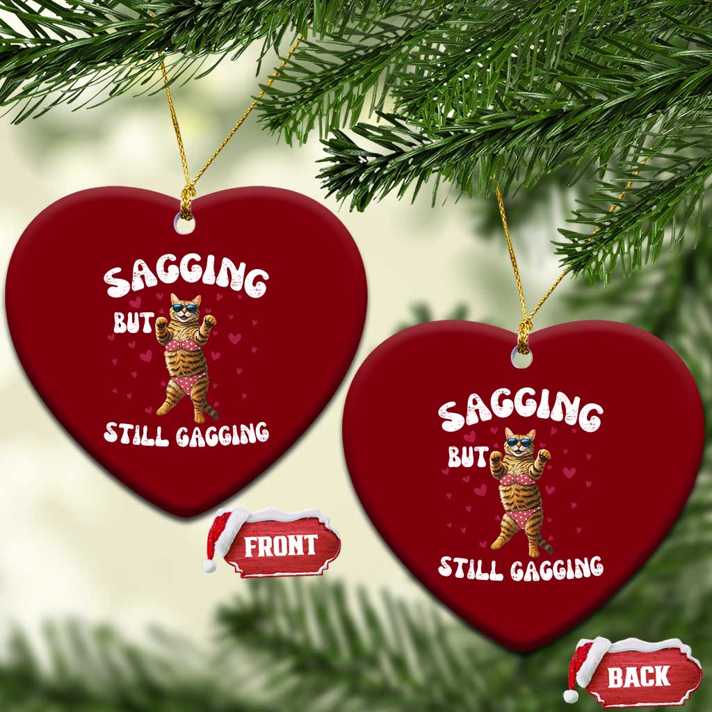 Funny Cat Sexy Ceramic Ornament Sagging But Still Gagging Gift TS12 Print Your Wear