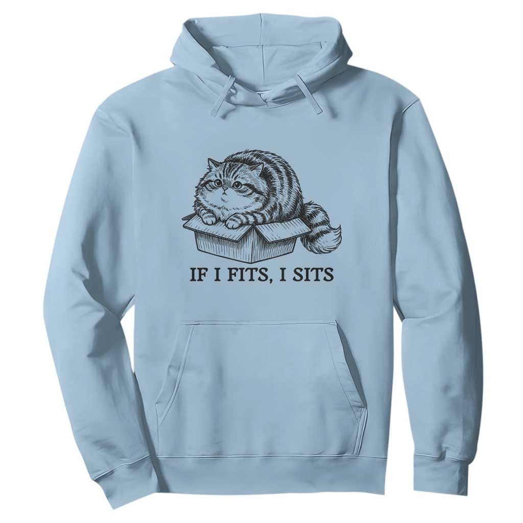 If I Fits I Sits Hoodie Chubby Kitty Funny Cat Lover Gift TS12 Light Blue Print Your Wear