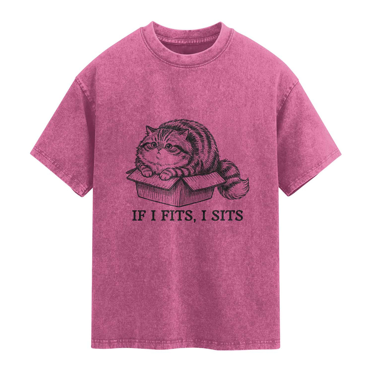 If I Fits I Sits Washed Cotton T-Shirt Chubby Kitty Funny Cat Lover Gift