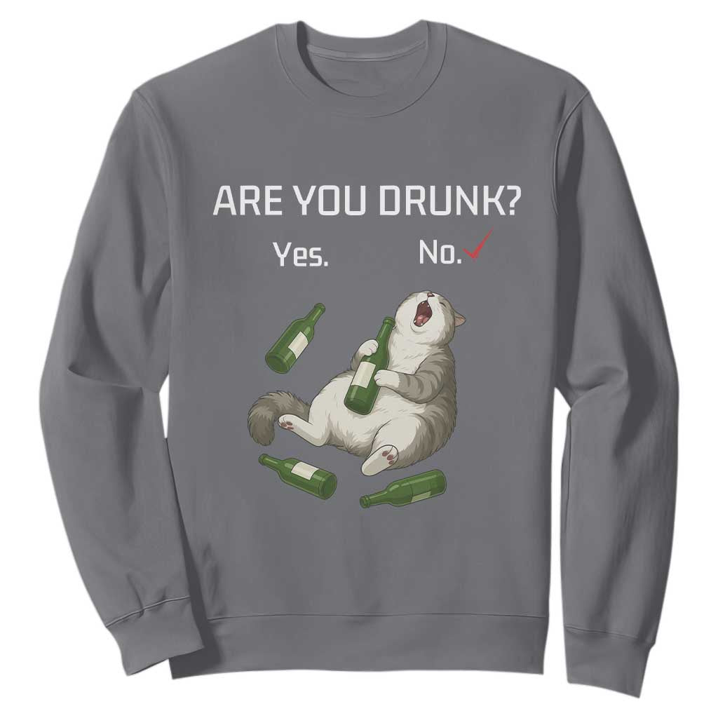 Cat Lover Humor Sweatshirt Are You Drunk Funny Beer Gift TS12 Charcoal Print Your Wear