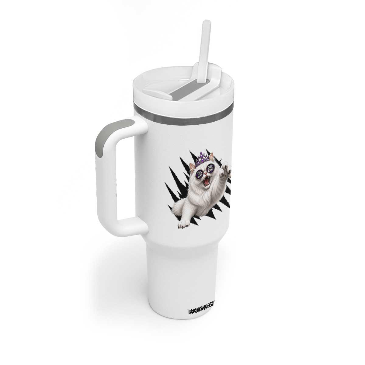 Funny Princess Cat With Featuring Scratch Effect Printed Tumbler With Handle This Is An Outrage TS12 Print Your Wear