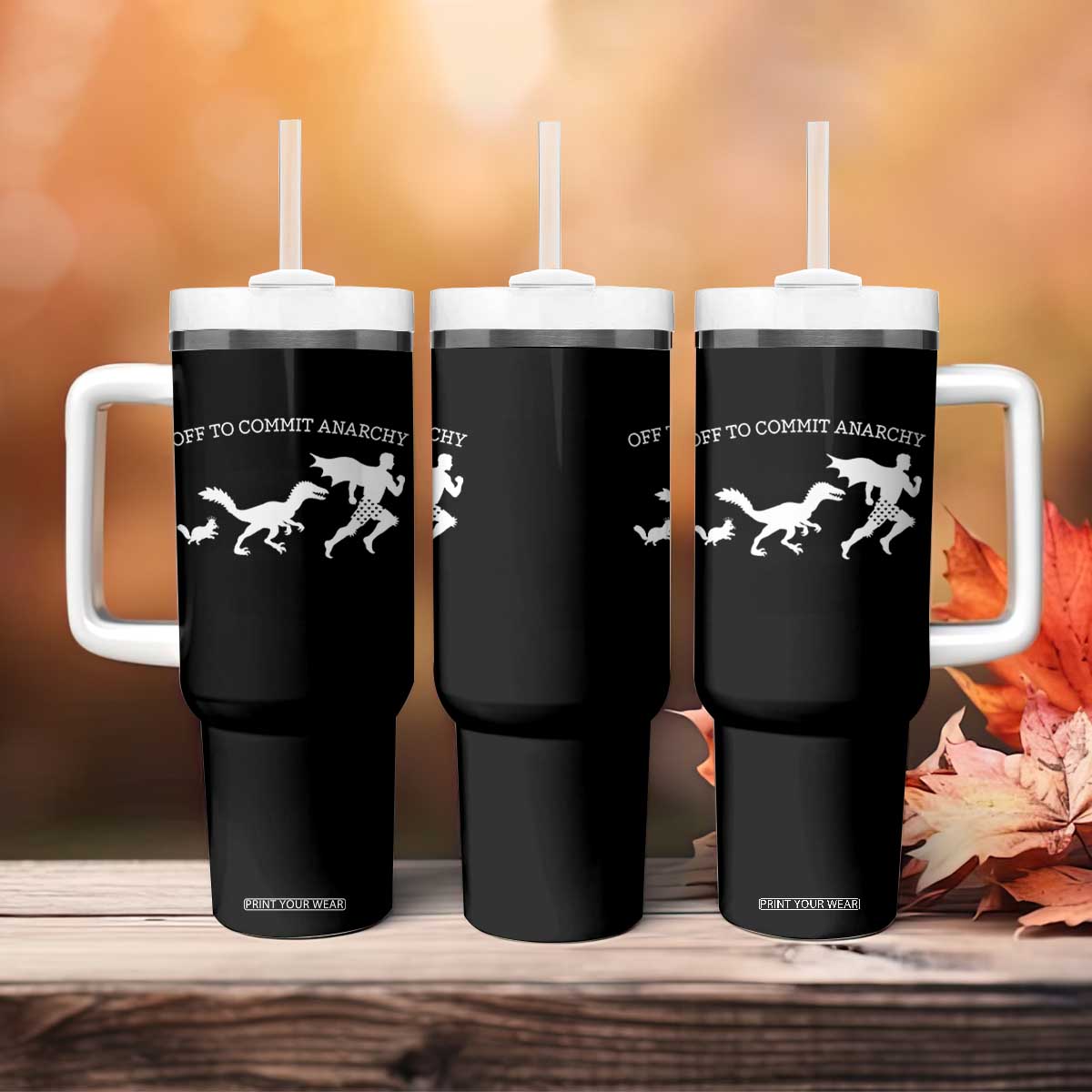 Funny Princess Cat Sci Fi Gift Tumbler With Handle Off To Commit Anarchy TS12 Print Your Wear