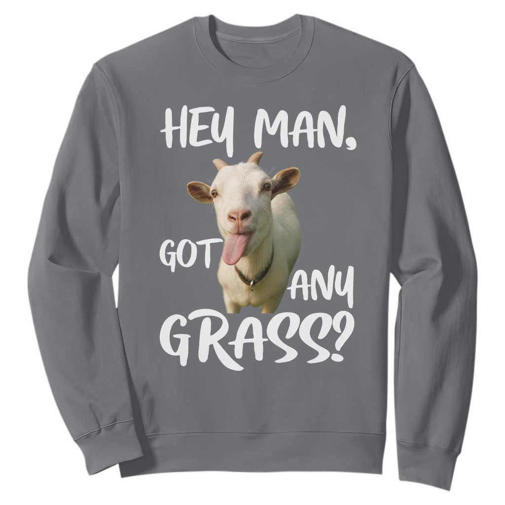 Hey Man Got Any Grass Sweatshirt Funny Goat Stoner Gift TS12 Charcoal Print Your Wear