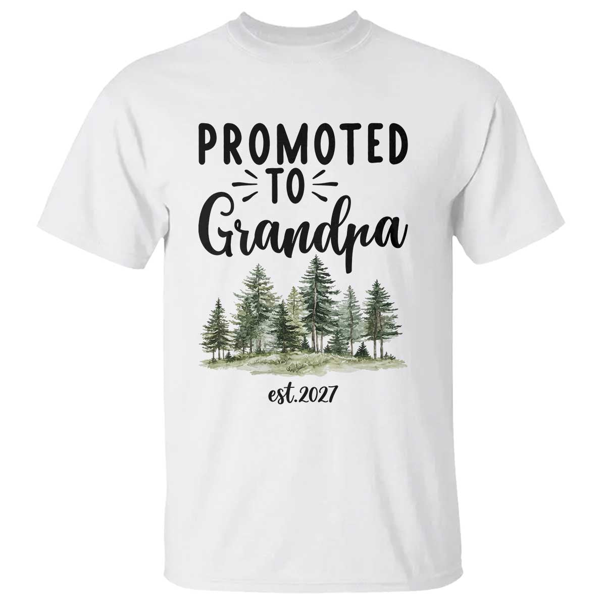 Promoted To Grandpa Est 2027 T Shirt Proud New Grandfather Gift