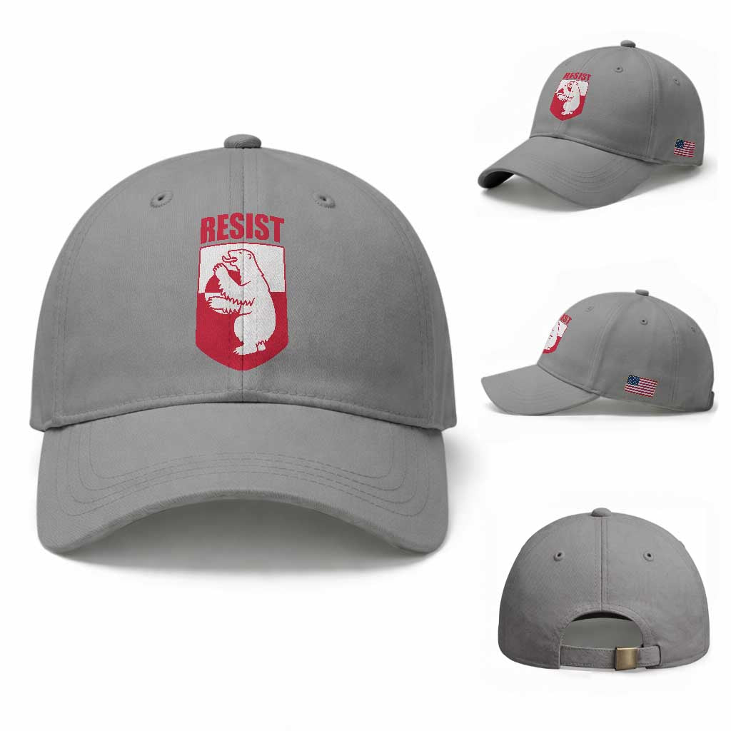 Greenland Resist Baseball Cap Stand With Greenlanders TS12 Baseball Cap Universal Fit Sport Gray Print Your Wear