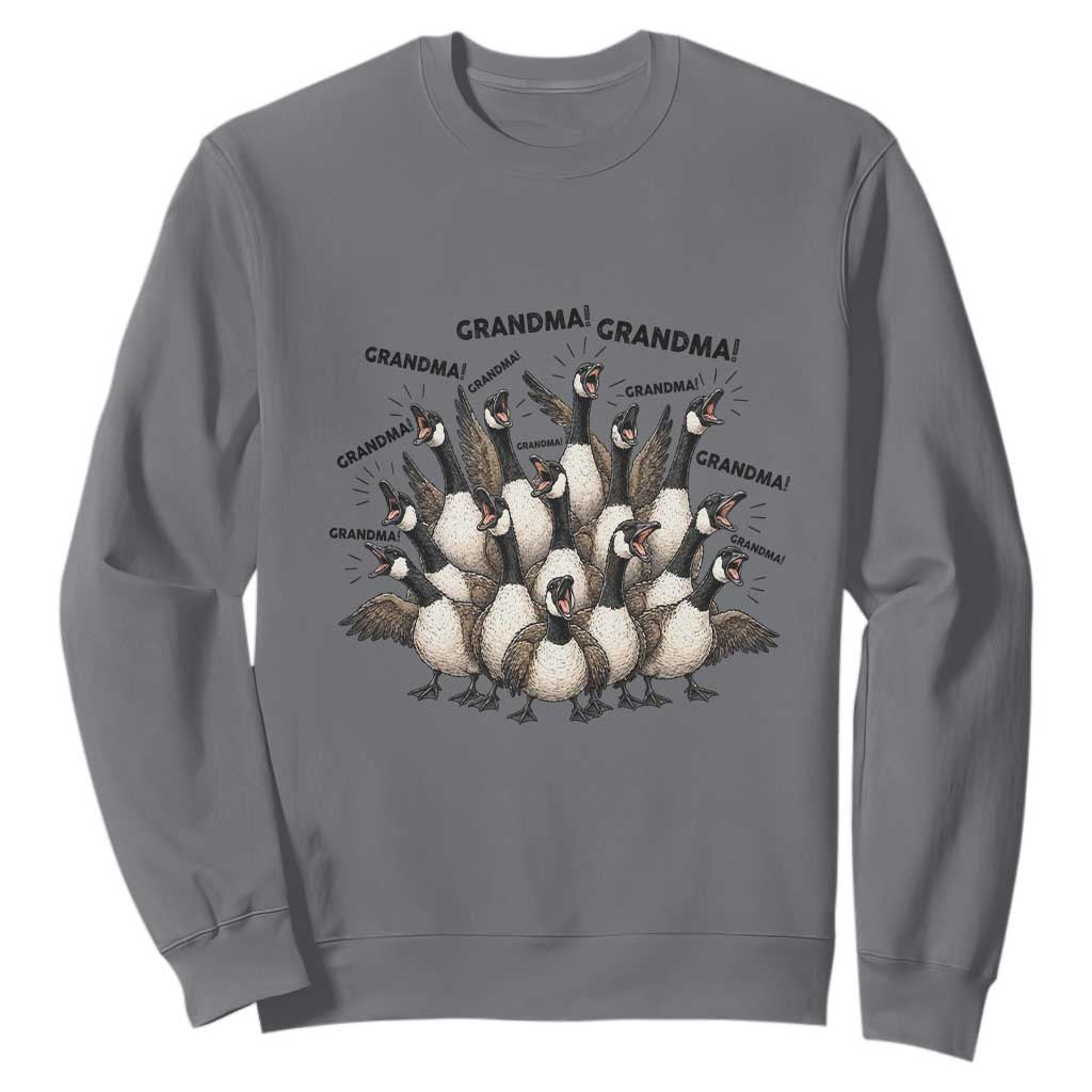 Funny Silly Goose Grandma Sweatshirt Chaos Coordinator Grandma Life Graphic TS12 Charcoal Print Your Wear