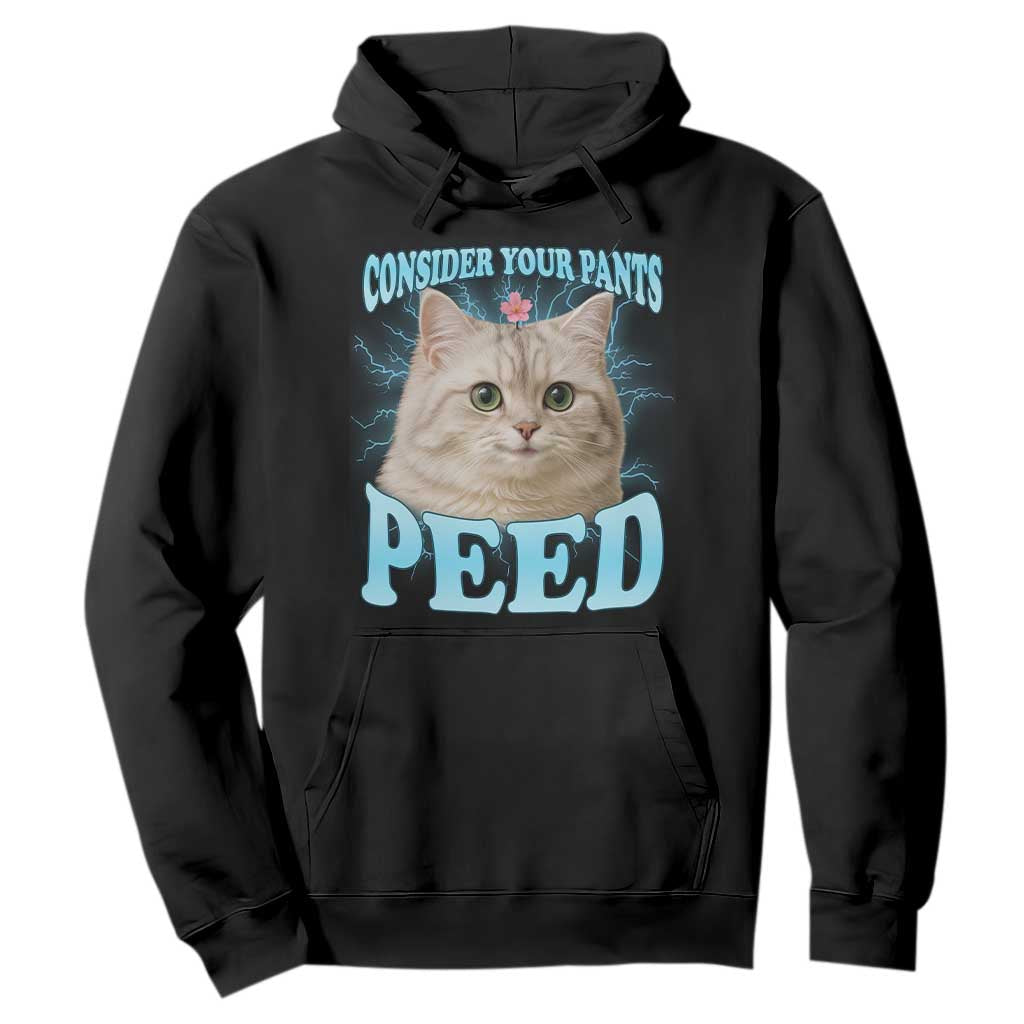 Funny Cat Hoodie Consider Your Pants Peed Meme Saying TS12 Black Print Your Wear