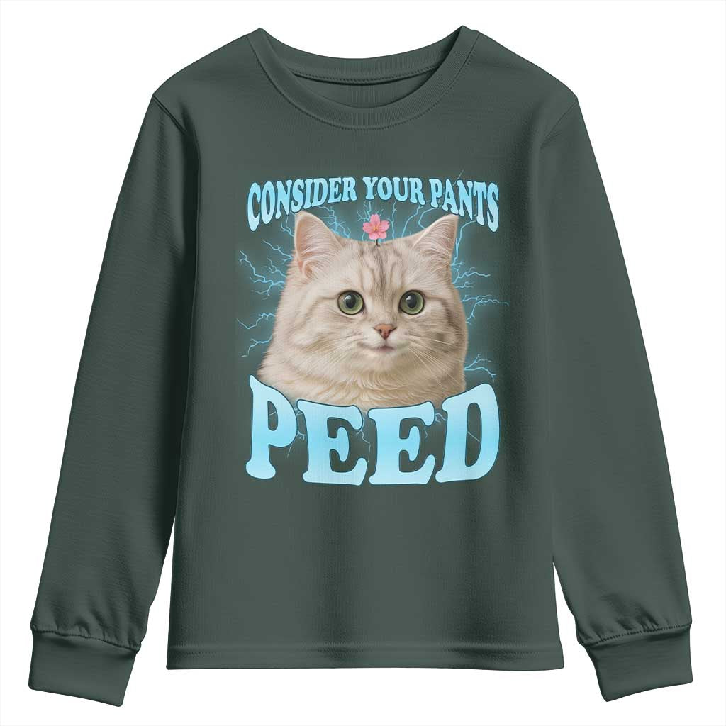 Funny Cat Youth Sweatshirt Consider Your Pants Peed Meme Saying TS12 Dark Forest Green Print Your Wear