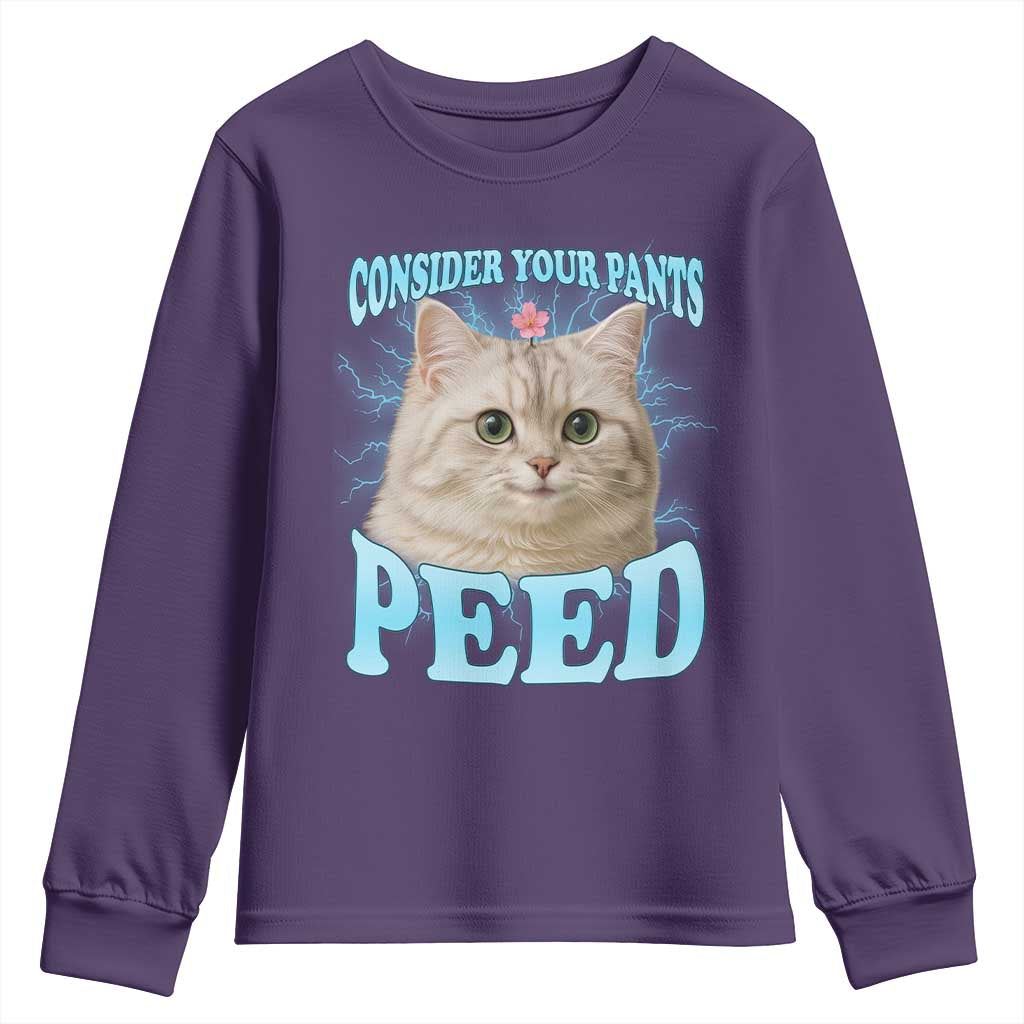 Funny Cat Youth Sweatshirt Consider Your Pants Peed Meme Saying TS12 Purple Print Your Wear