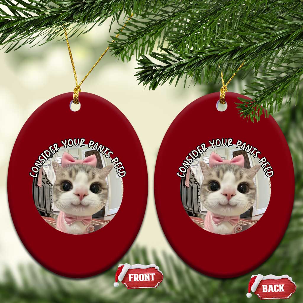 Consider Your Pants Peed Ceramic Ornament Funny Cat Meme Saying TS12 Print Your Wear