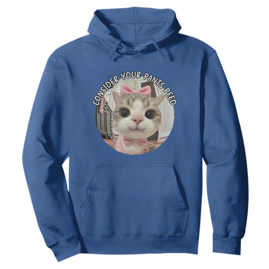Consider Your Pants Peed Hoodie Funny Cat Meme Saying TS12 Royal Blue Print Your Wear
