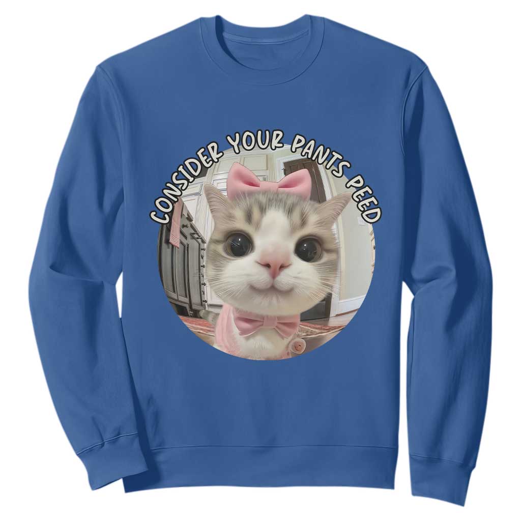Consider Your Pants Peed Sweatshirt Funny Cat Meme Saying TS12 Royal Blue Print Your Wear