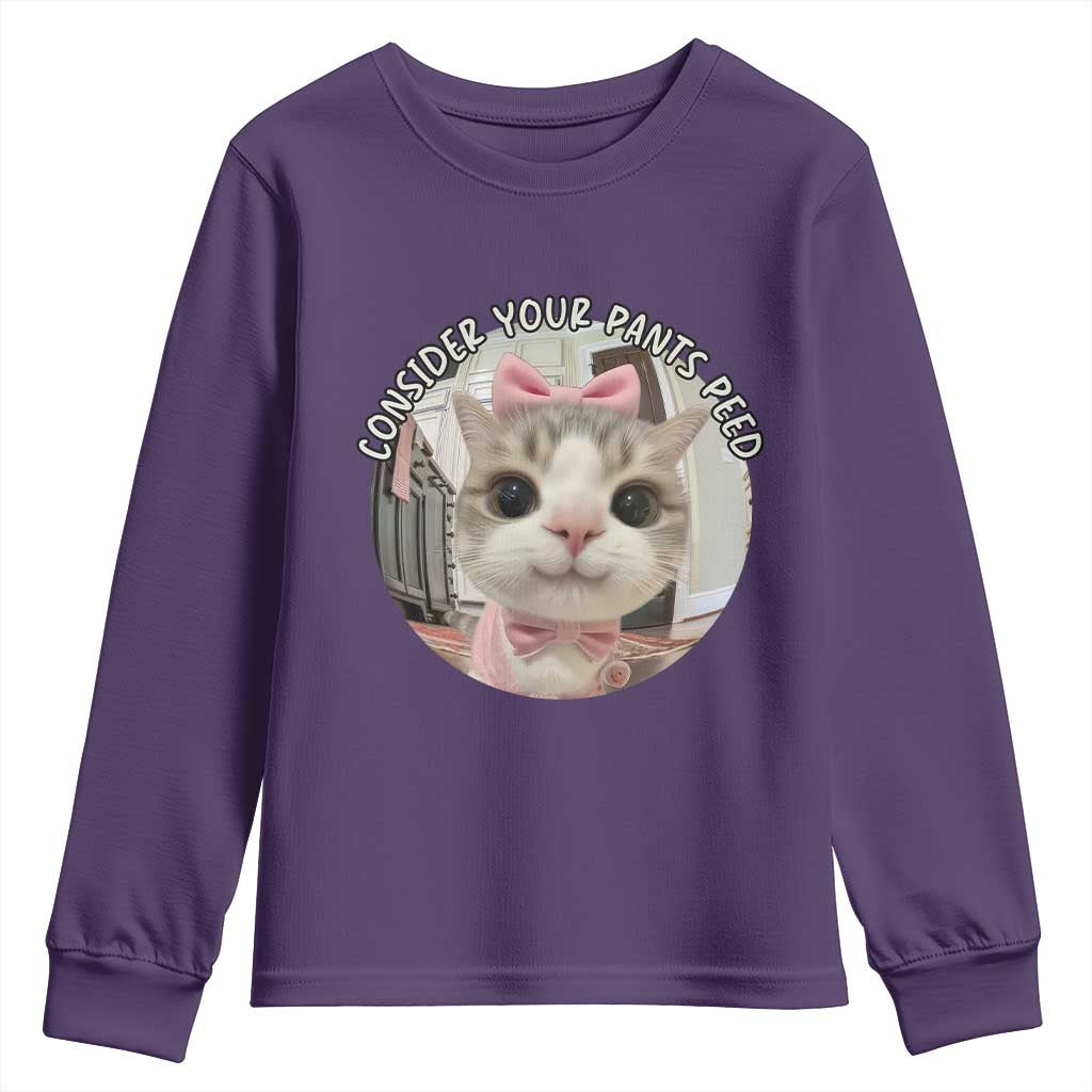 Consider Your Pants Peed Youth Sweatshirt Funny Cat Meme Saying TS12 Purple Print Your Wear