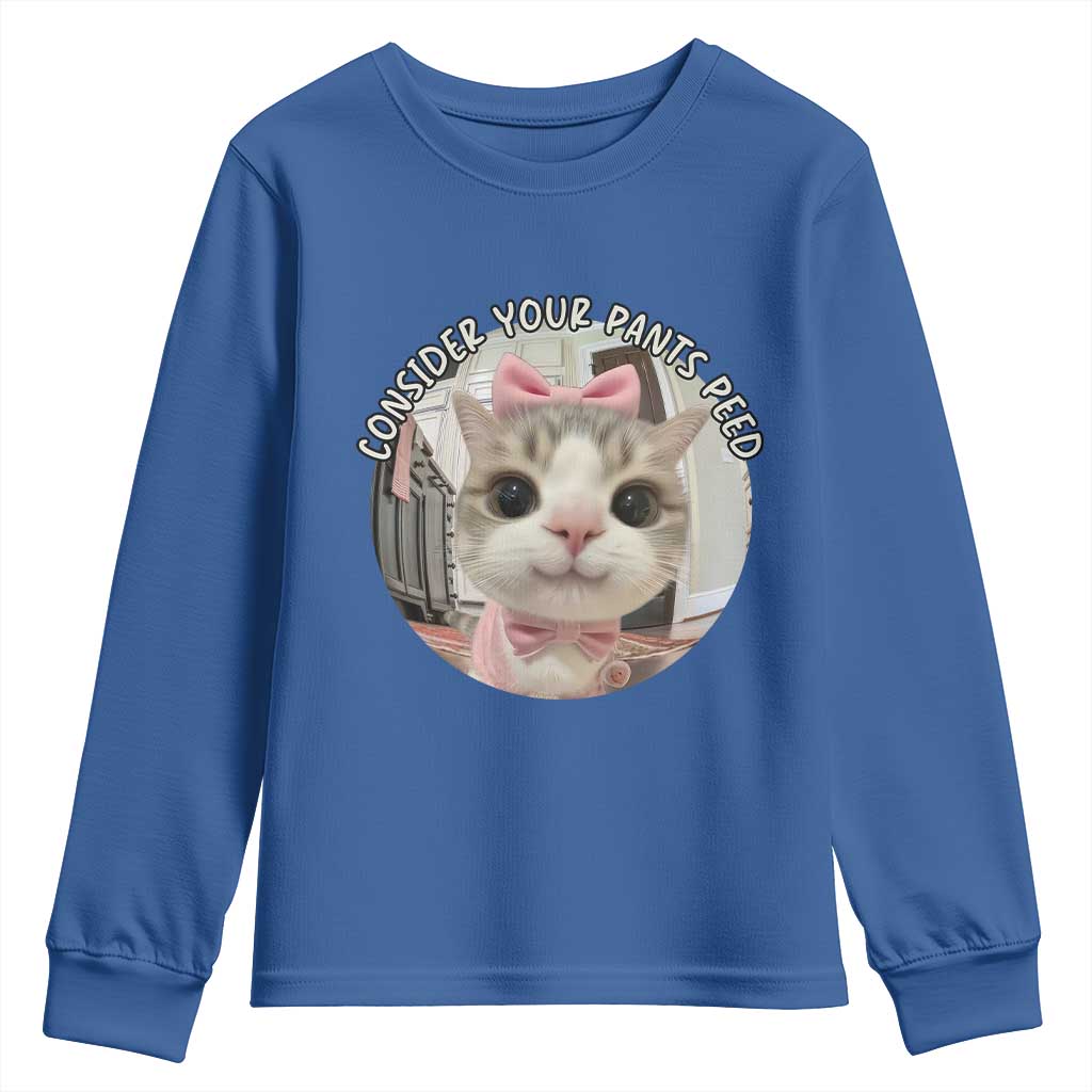 Consider Your Pants Peed Youth Sweatshirt Funny Cat Meme Saying TS12 Royal Blue Print Your Wear