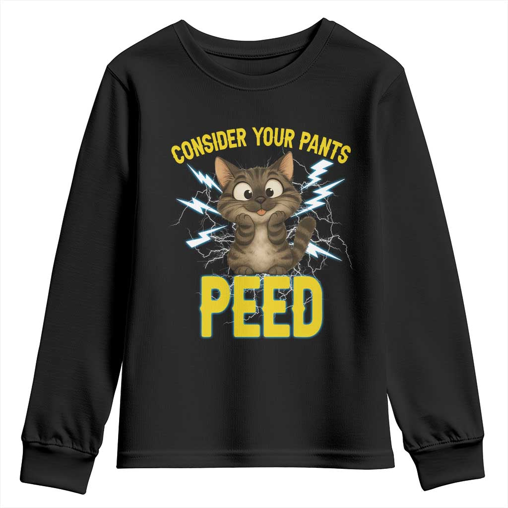 Funny Cat Lover Youth Sweatshirt Consider Your Pants Peed Quote TS12 Black Print Your Wear