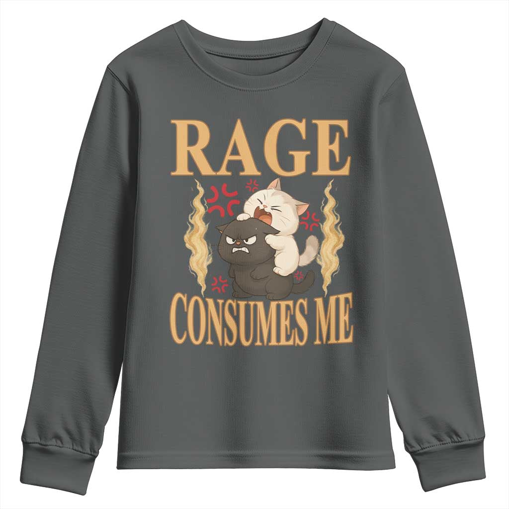 Cute Cat Youth Sweatshirt Rage Is Consuming Me TS12 Dark Heather Print Your Wear