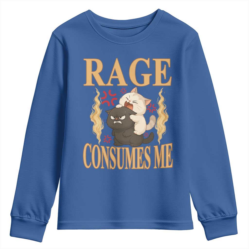Cute Cat Youth Sweatshirt Rage Is Consuming Me TS12 Royal Blue Print Your Wear