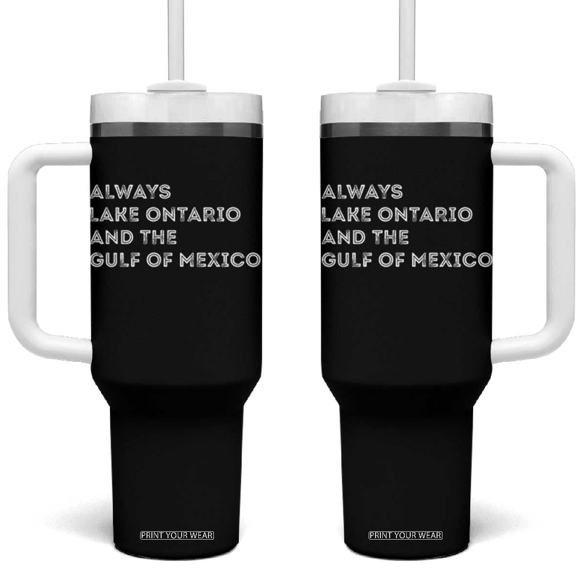 Always Lake Ontario And The Gulf Of Mexico Tumbler With Handle Great Lakes Life