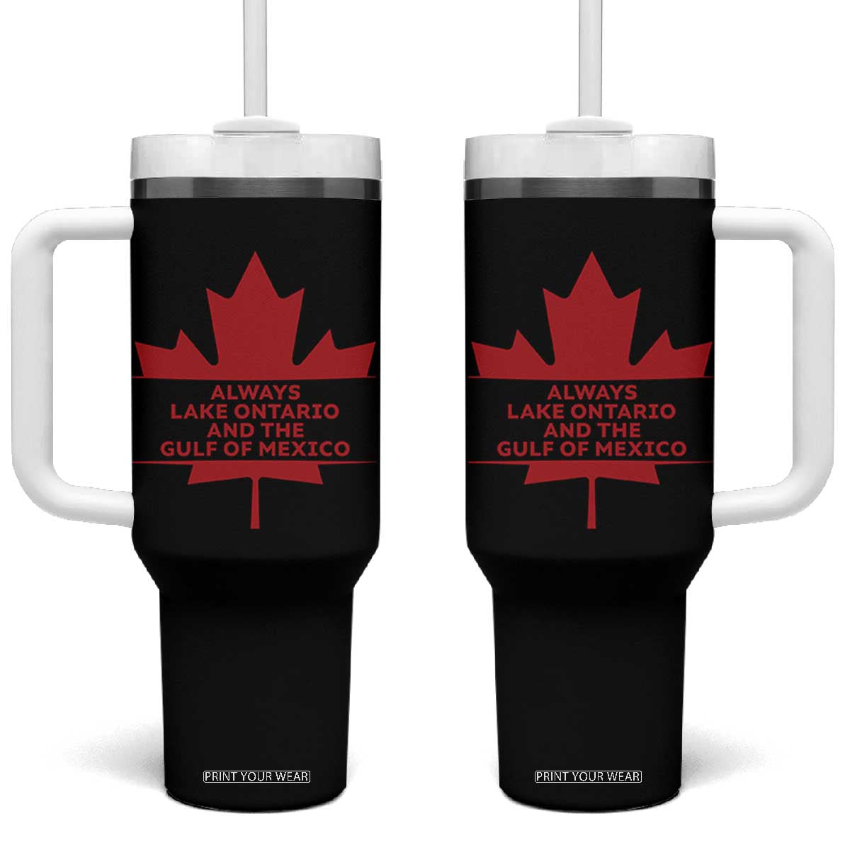 Always Lake Ontario And The Gulf Of Mexico Tumbler With Handle Canadian Lake Life Maple Leaf