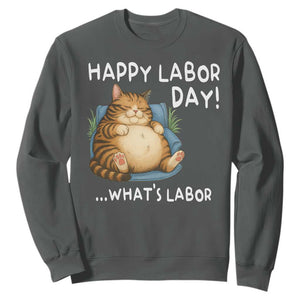 Funny Fat Cat Resting Lazy Cat Sweatshirt Happy Labor Day Whats Labor TS12 Dark Heather Print Your Wear