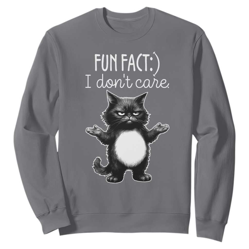 Funny Cat Lover Sweatshirt Fun Fact I Do Not Care Quote TS12 Charcoal Print Your Wear