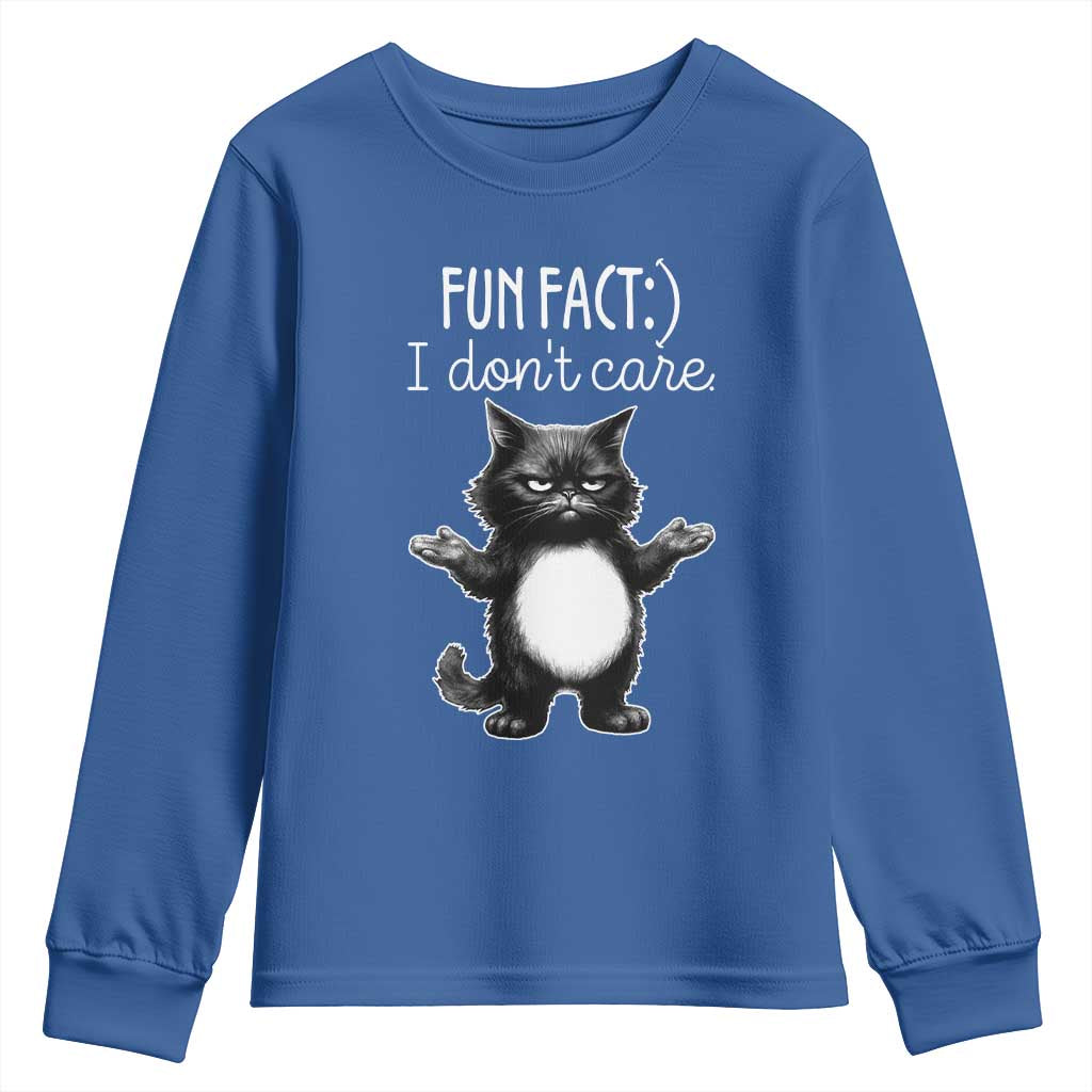 Funny Cat Lover Youth Sweatshirt Fun Fact I Do Not Care Quote TS12 Royal Blue Print Your Wear