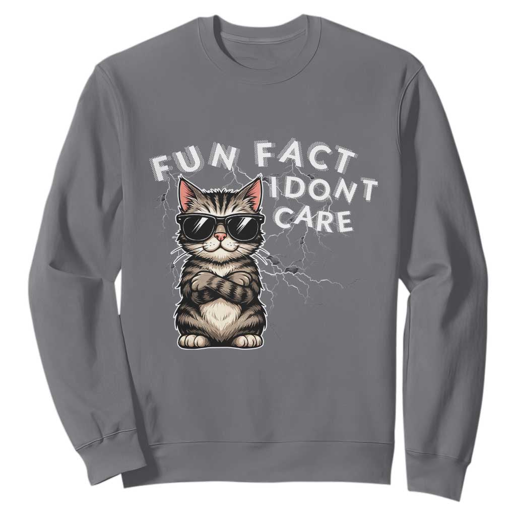 Fun Fact I Do Not Care Sweatshirt Grumpy Cat Lover TS12 Charcoal Print Your Wear