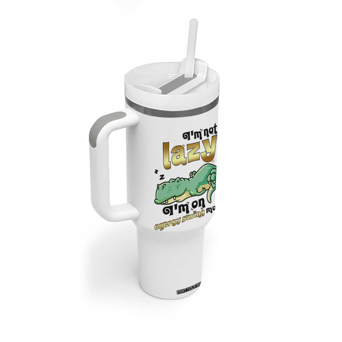 Funny Dinosaur Lover Tumbler With Handle I Am Not Lazy I Am On Energy Saving Mode TS12 Print Your Wear