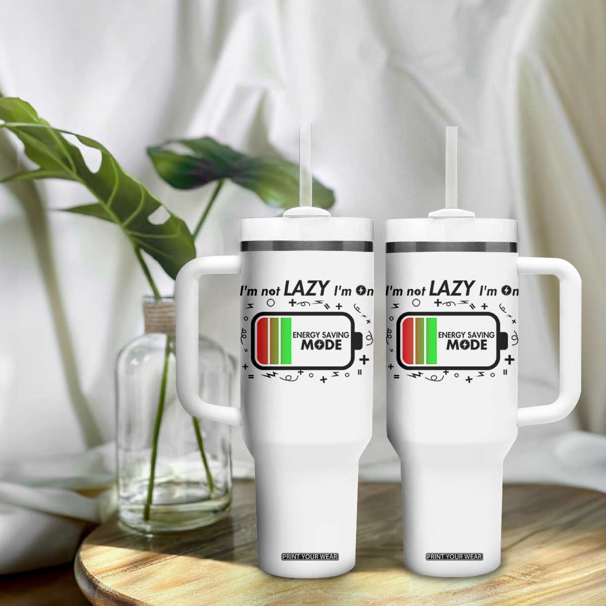 Funny Sarcastic Saying Tumbler With Handle I Am On Energy Saving Mode TS12 Print Your Wear