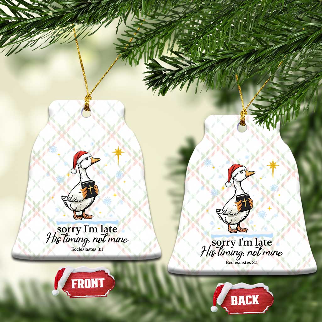 Christian Goose Ceramic Ornament Sorry I Am Late His Timing Not Mine TS14 Print Your Wear