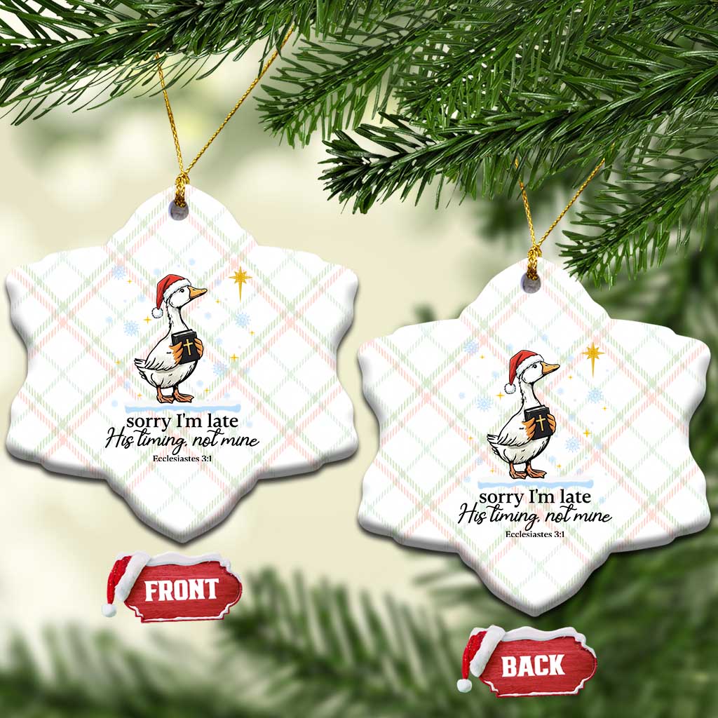 Christian Goose Ceramic Ornament Sorry I Am Late His Timing Not Mine TS14 Print Your Wear