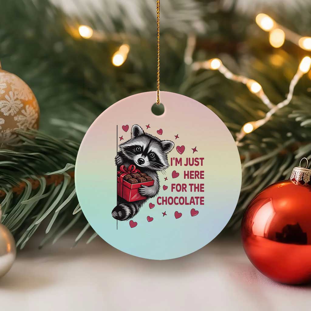 Valentine Racoon Trash Panda Ceramic Ornament I'm Just Here For The Chocolate TS14 1pc Pastel Print Your Wear